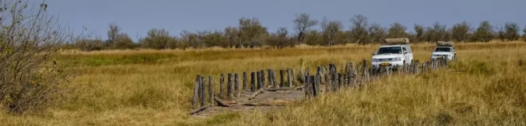 Trucks sitting in grass.